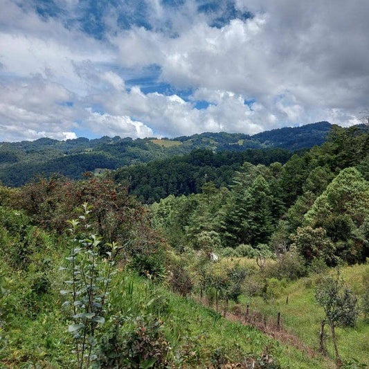 Lush green hills and valleys under a partly cloudy sky