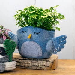 Bluebird-shaped planter with a plant on a wooden surface.