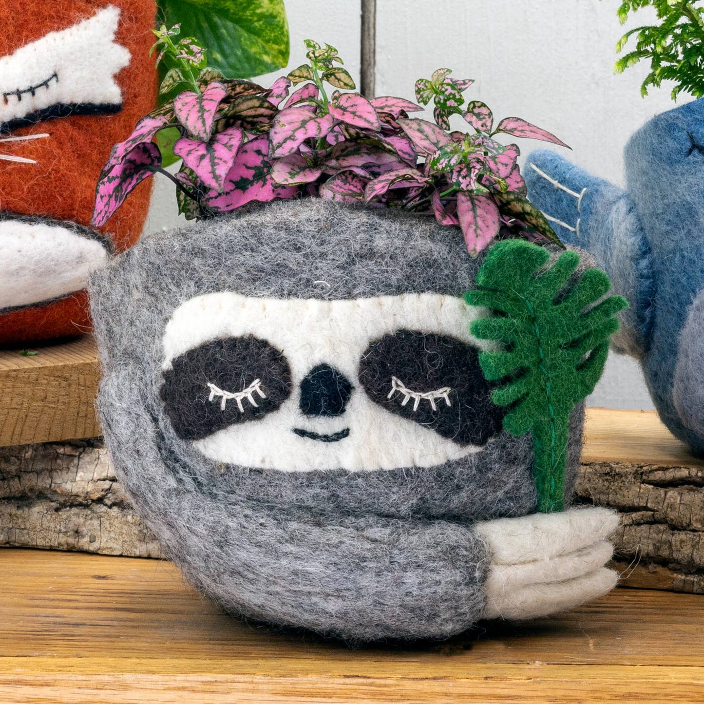 Felted sloth planter with plants on a wooden surface