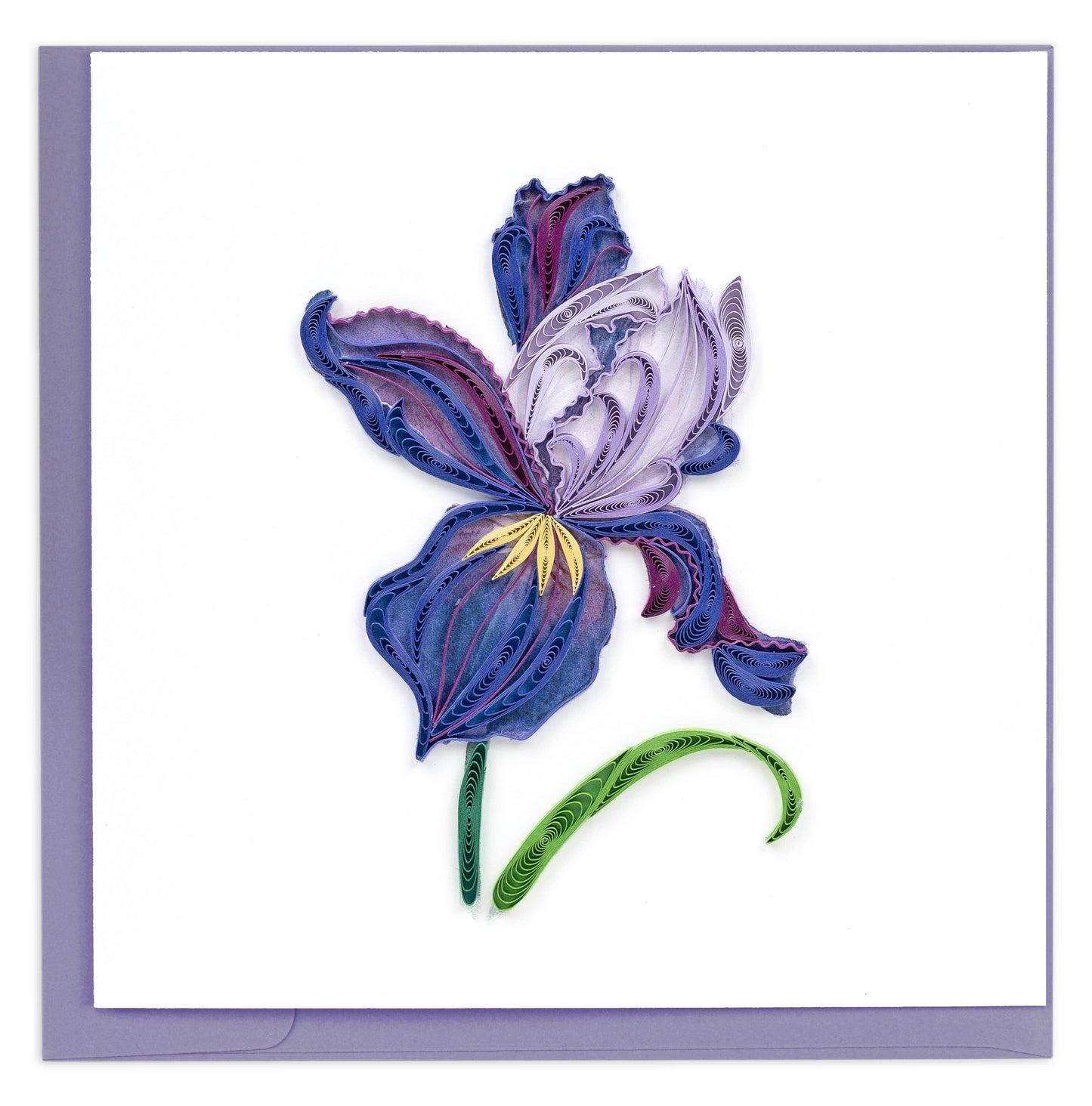 A large iris in violet and light purple with a single green leaf
