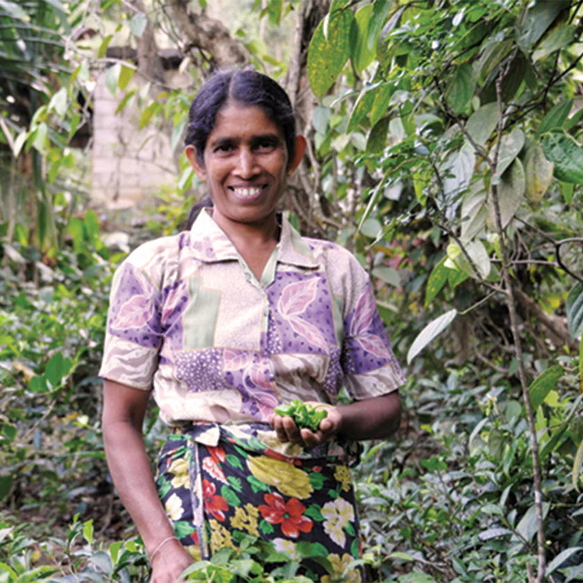 Smiling woman holding green leaves in a forest setting