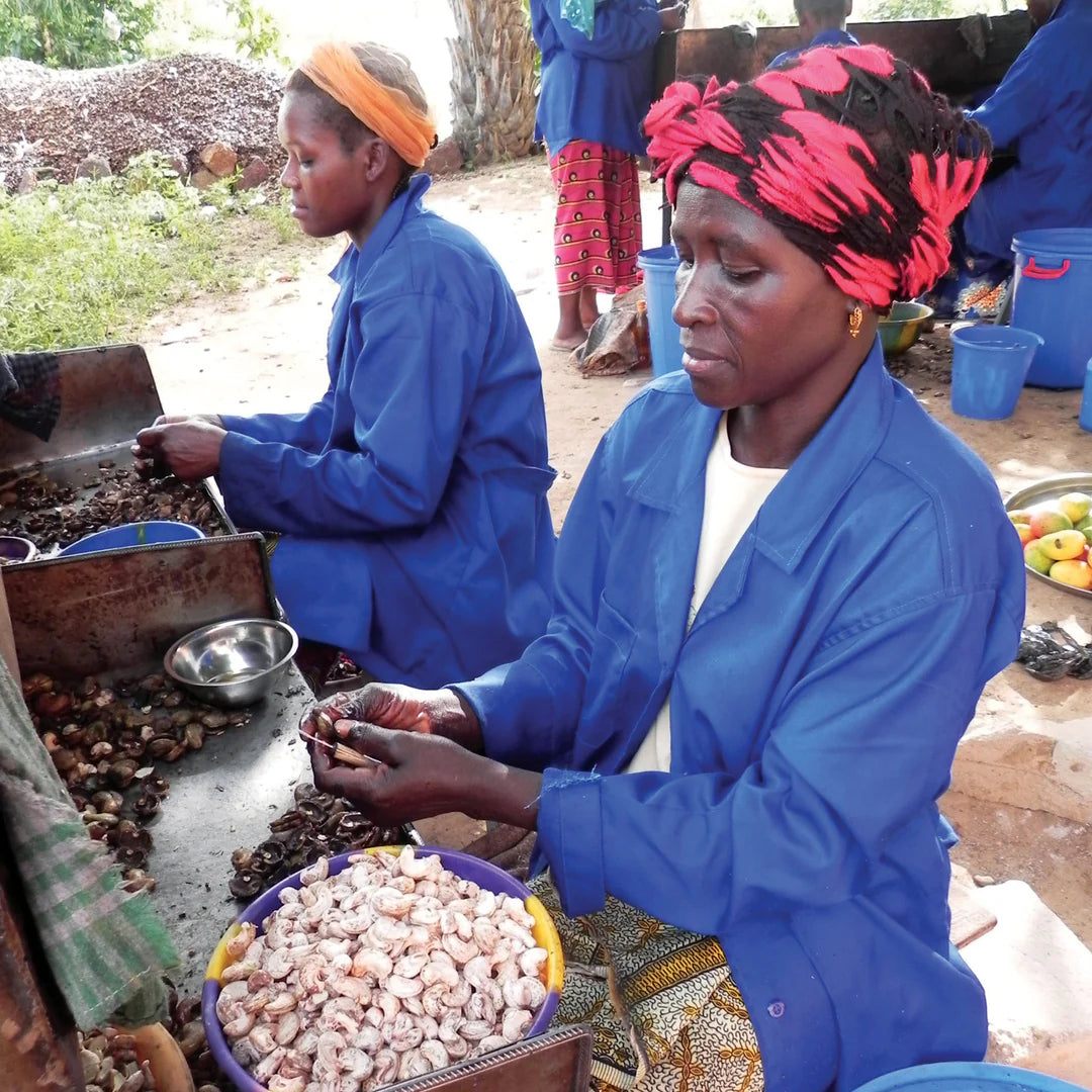 Two women in blue jackets sorting nuts outdoors