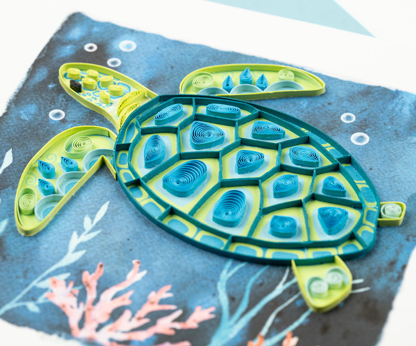Sea Turtle Greeting Card with coral and seaweed.
