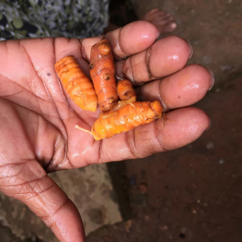 Turmeric Ginger Tea