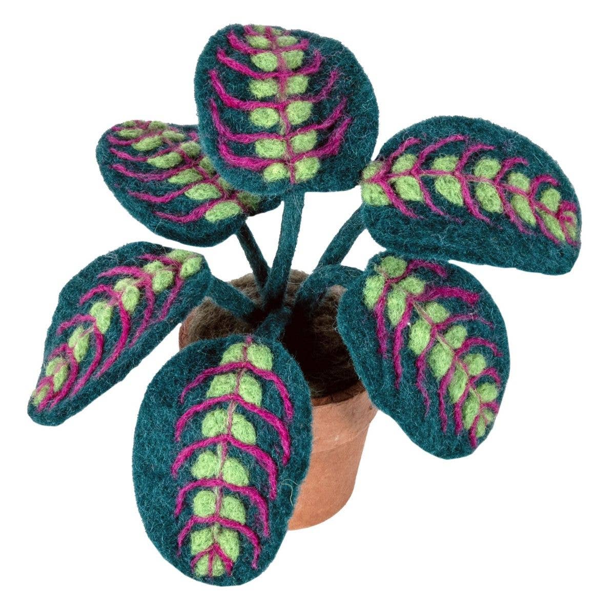 Felted plant with green and pink leaves on a white background