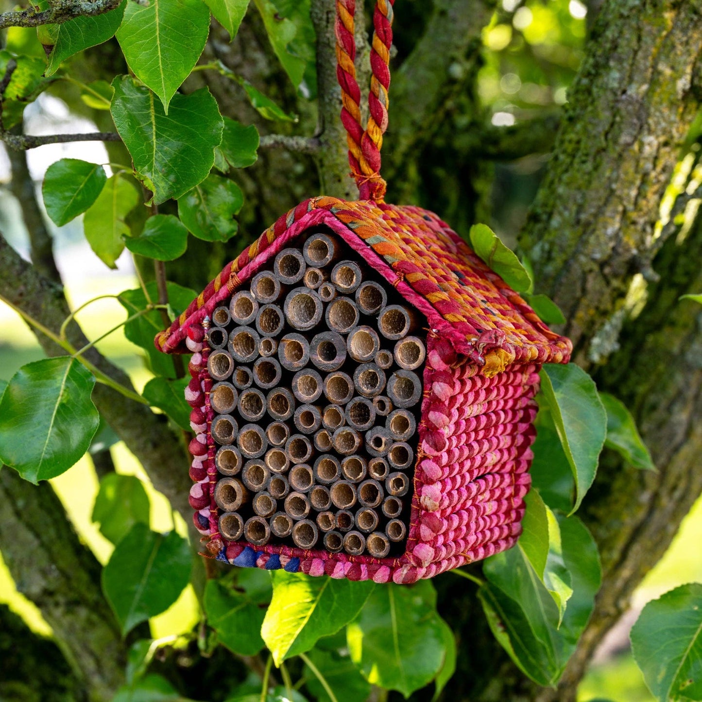 Colorful bee house hanging on a tree branch