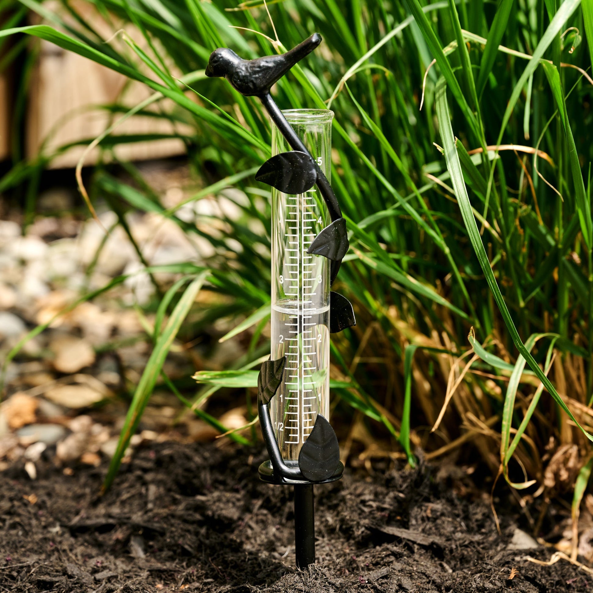 A cast iron rain gauge with a twisting leaf and perched bird design, with a glass measuring tube and a black base, placed on soil with grass and a bird in the background.