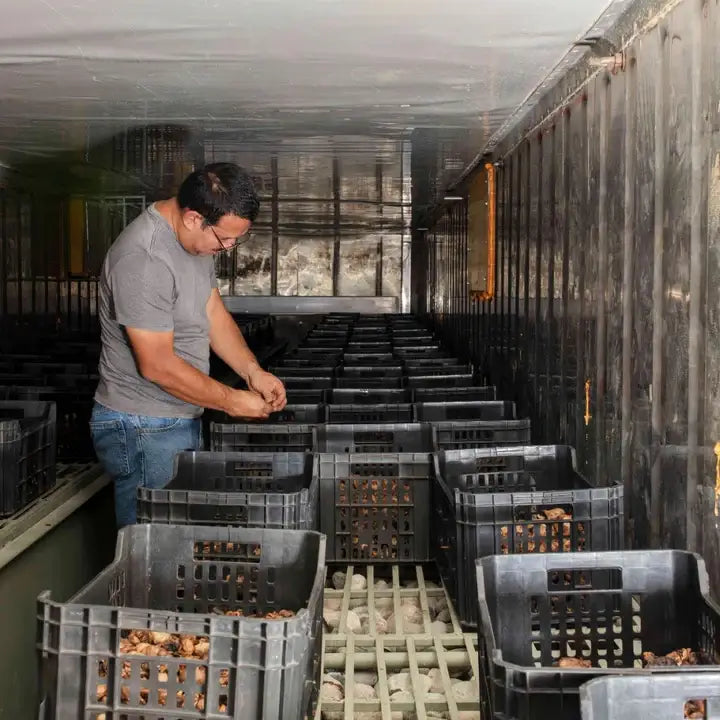 Man sorting items in a storage room with stacked black crates.