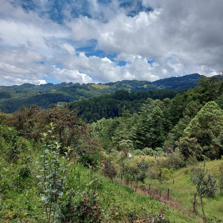 Lush green hills and valleys under a partly cloudy sky