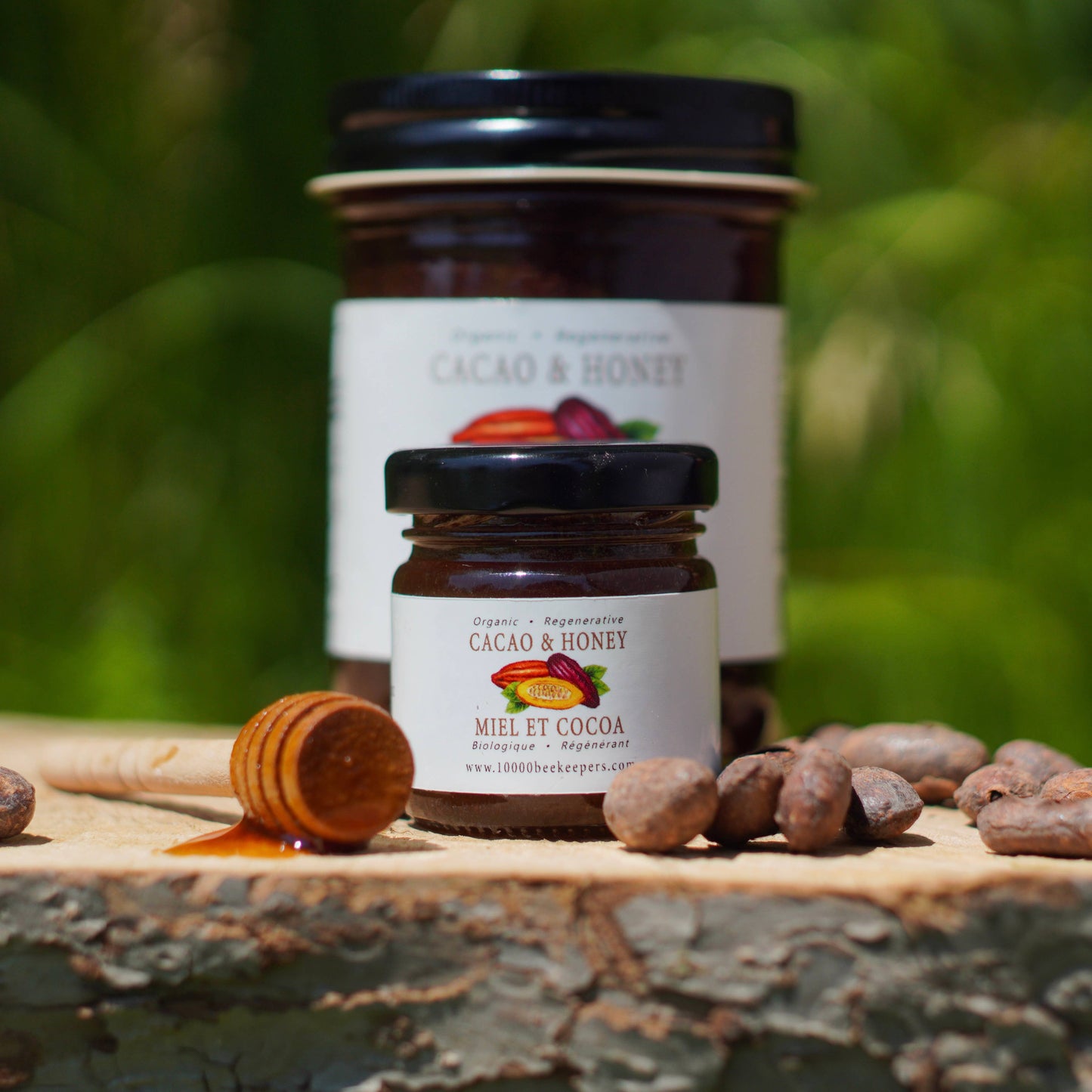 Two jars of cacao and honey with a honey dipper on a wooden surface with a blurred green background.