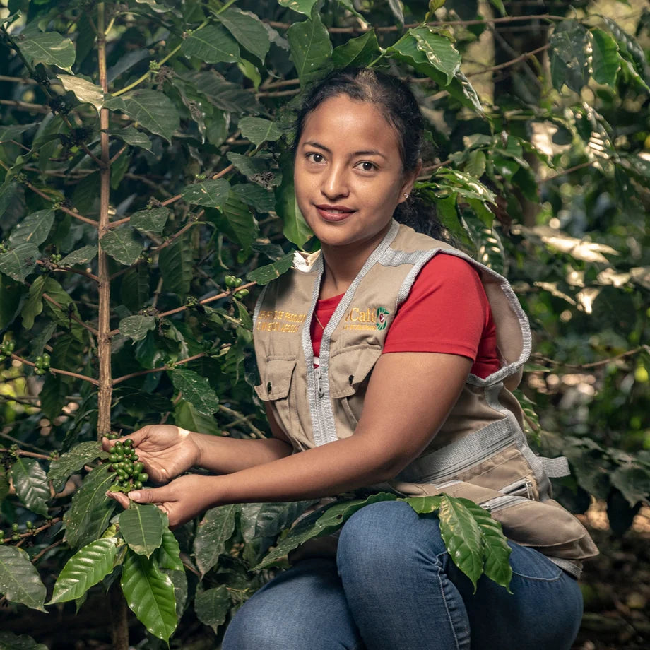 One women artisan shows coffee beans in growing process