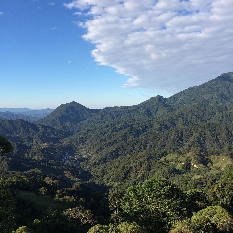 Green, forested, mountainous area with a valley.