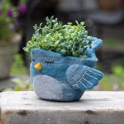 Blue bird-shaped planter with green plant on a wooden surface