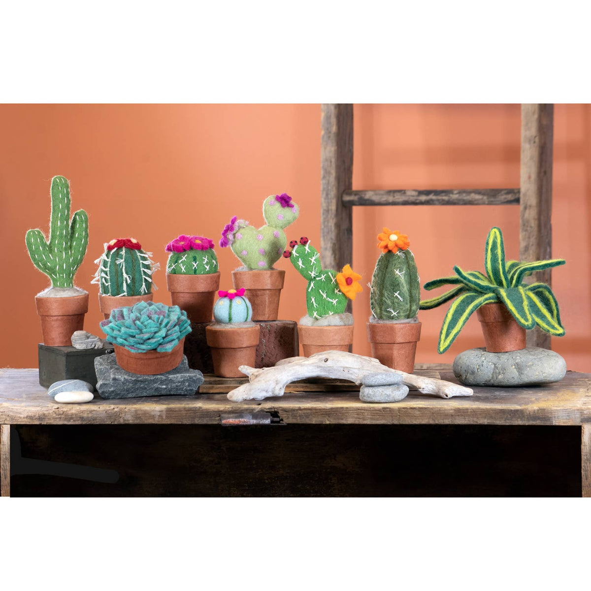 A collection of miniature potted cacti and succulents arranged on a rustic wooden shelf against a terracotta background with a wooden ladder.