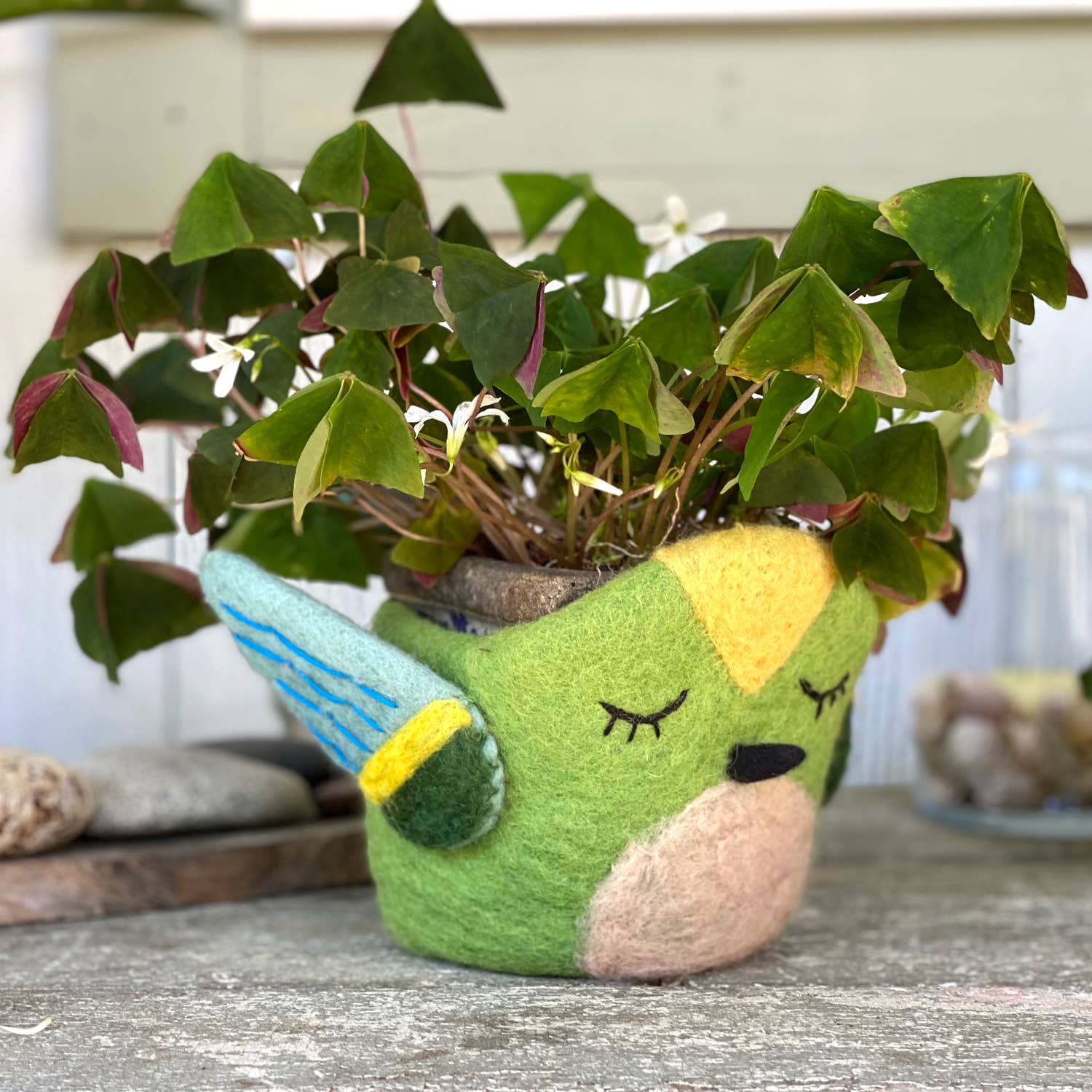 Felted green hummingbird pot holds a leafy green plant with small white blossoms.