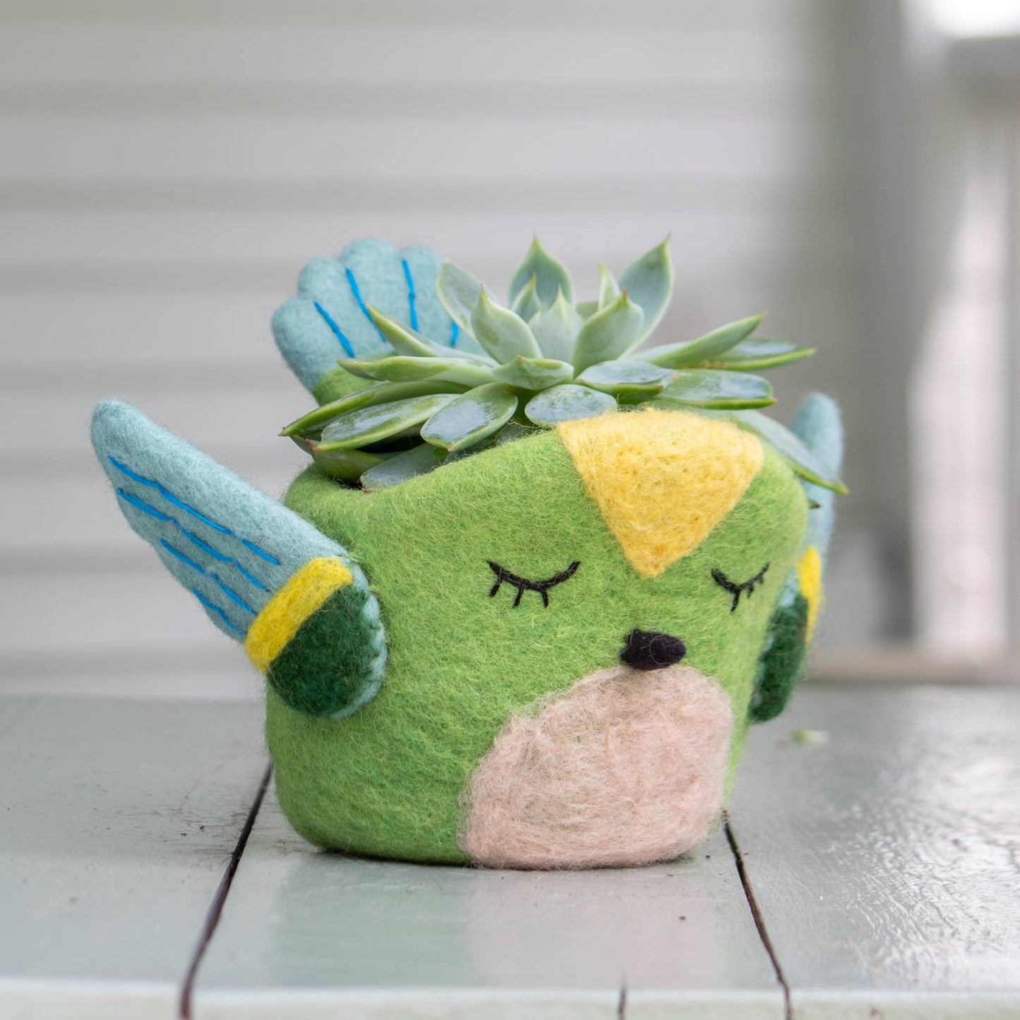 Felted green hummingbird pot holding a large layered succulent.
