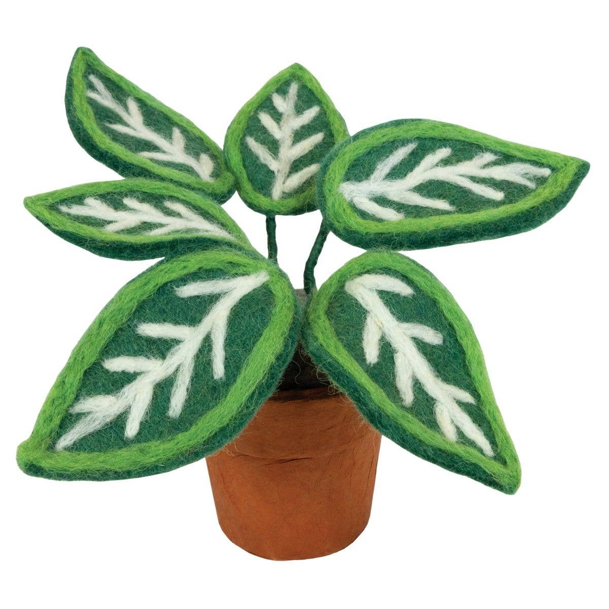 Felted plant with green leaves and white veins in a terracotta-colored pot on a white background