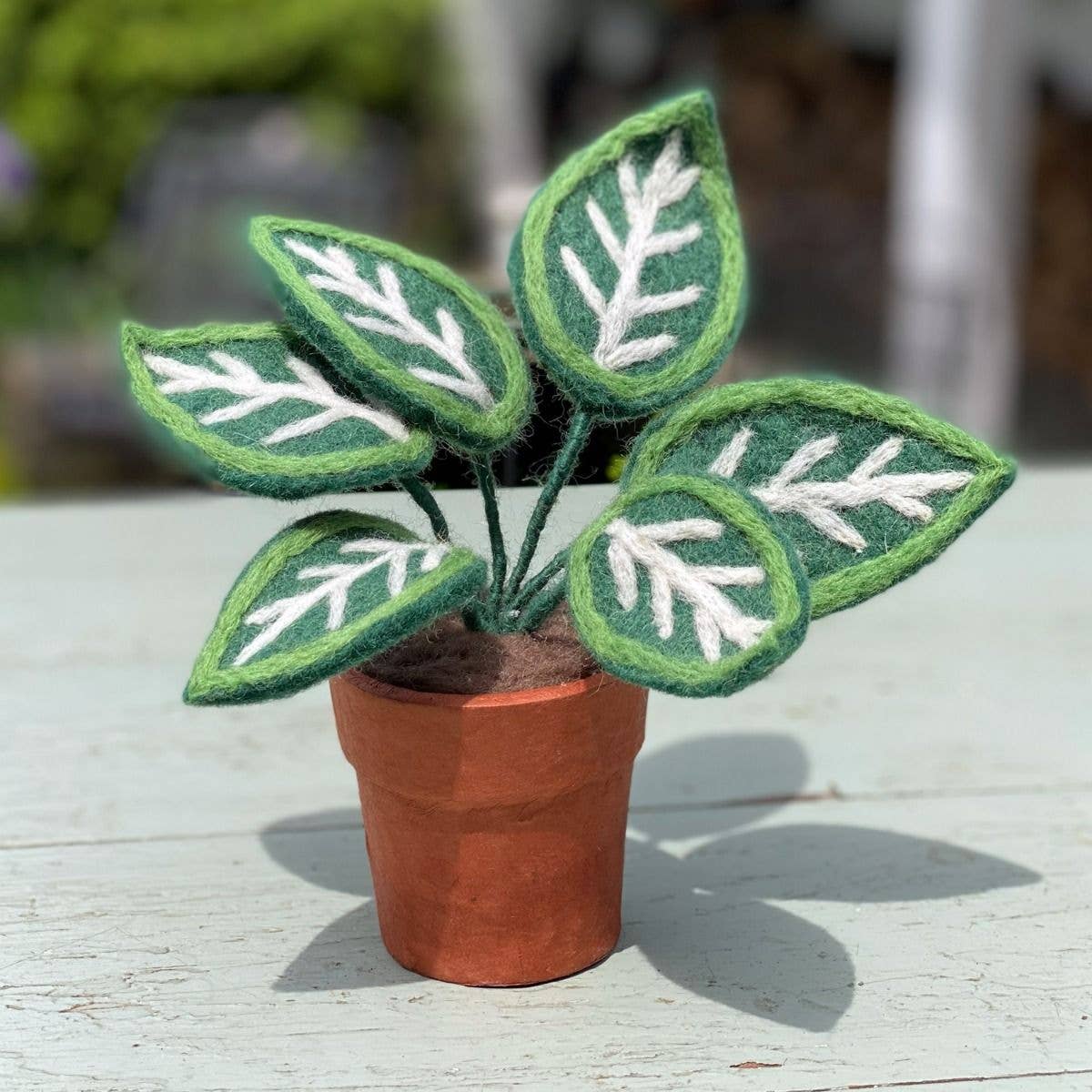 Felted potted plant with green and white leaves on a wooden surface