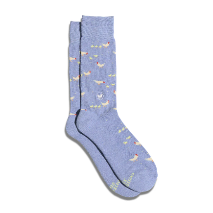 A pair of light blue socks with a pattern of chickens and chicks on a white background.