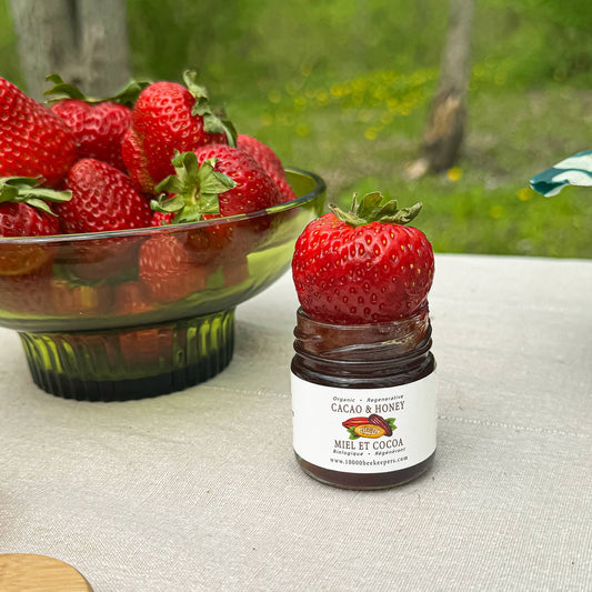 Mini jar of chocolate honey with a strawberry on top, placed next to a bowl of strawberries outdoors.