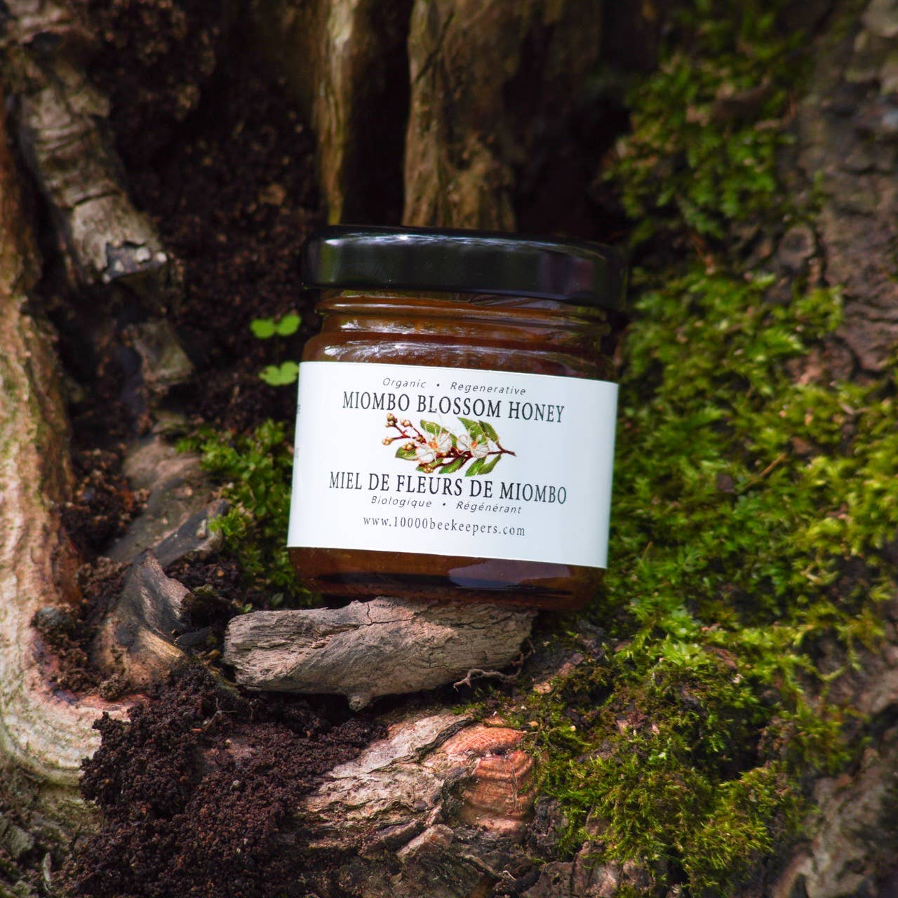 Jar of Miombo Blossom Honey on a tree bark background