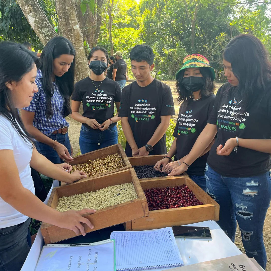 Group of students examining coffee beans in a box outdoors