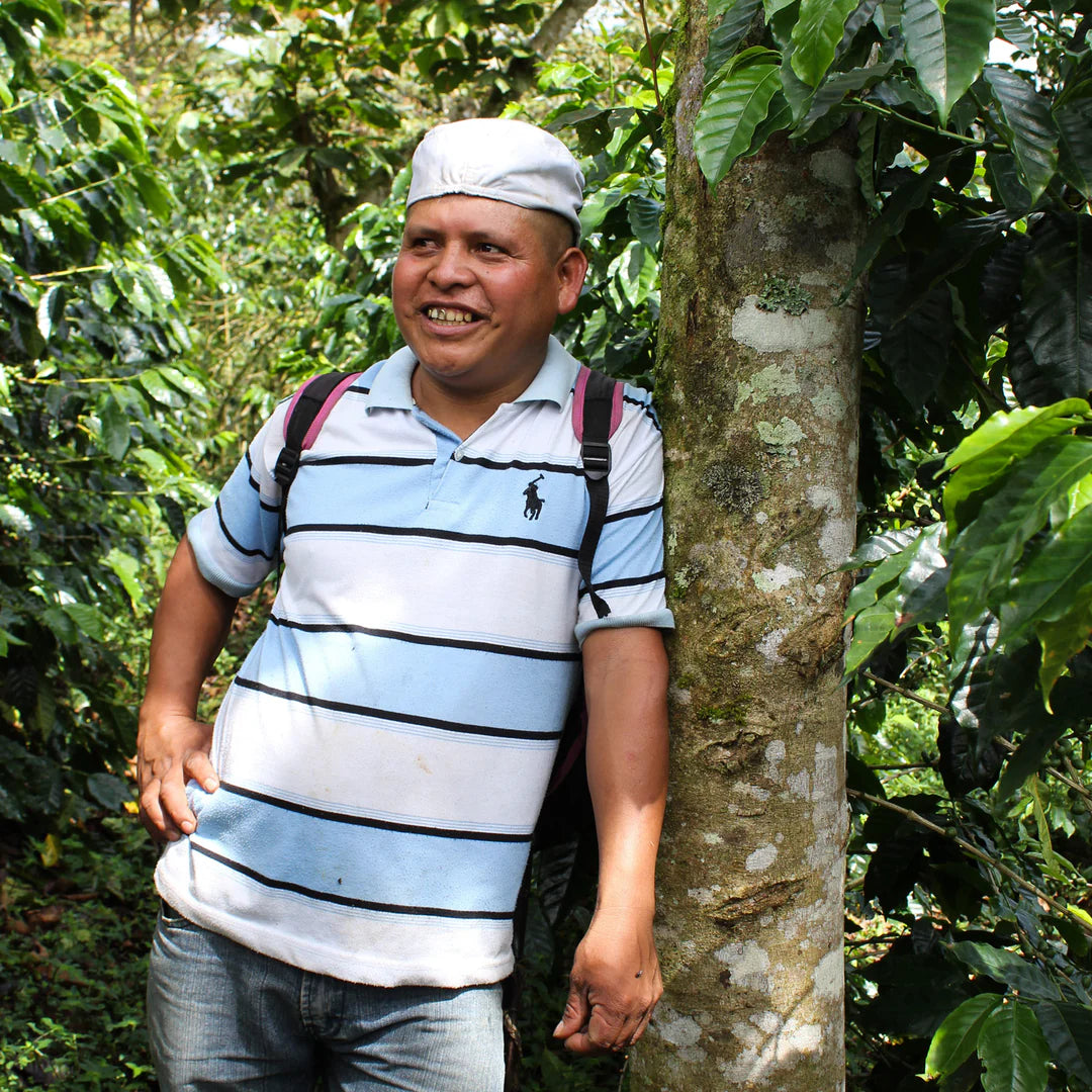 Man standing next to a tree in a coffee plantation