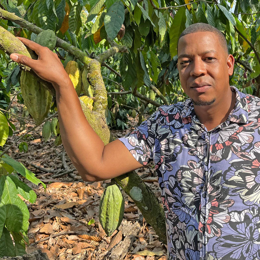 Man standing among cacao trees