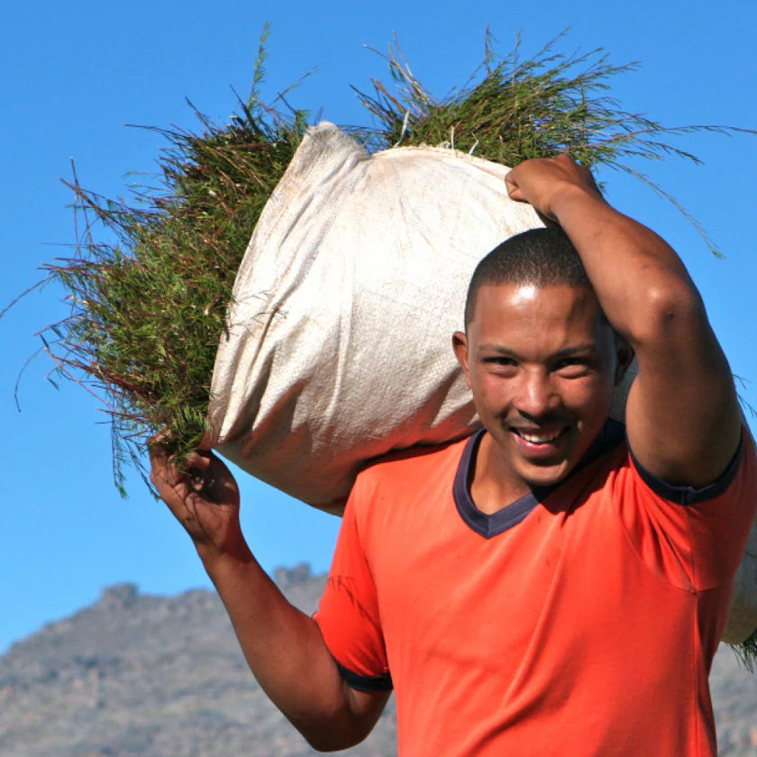 Man carrying a bag of tea against a blue sky